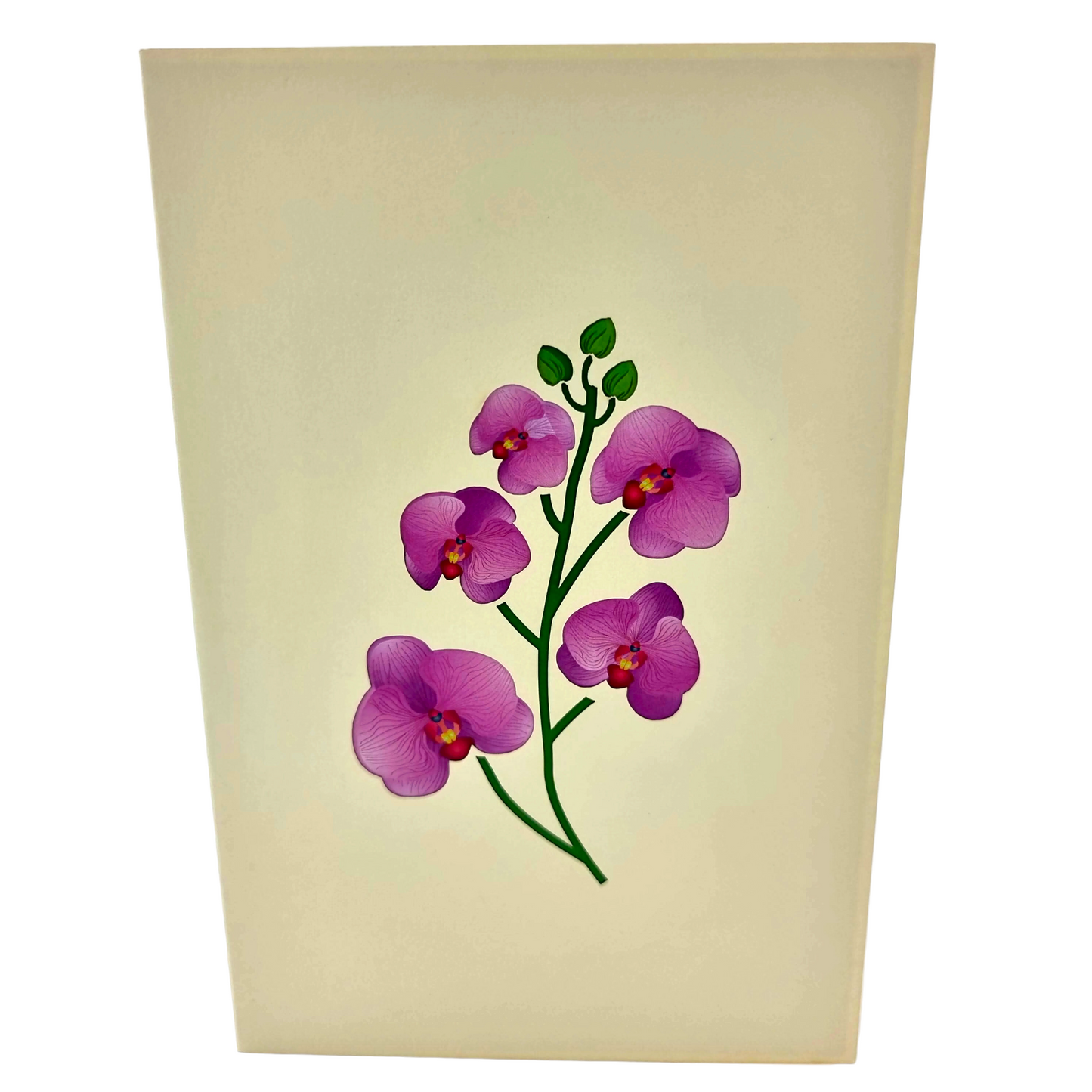 Orchid Vase Pop Up Card