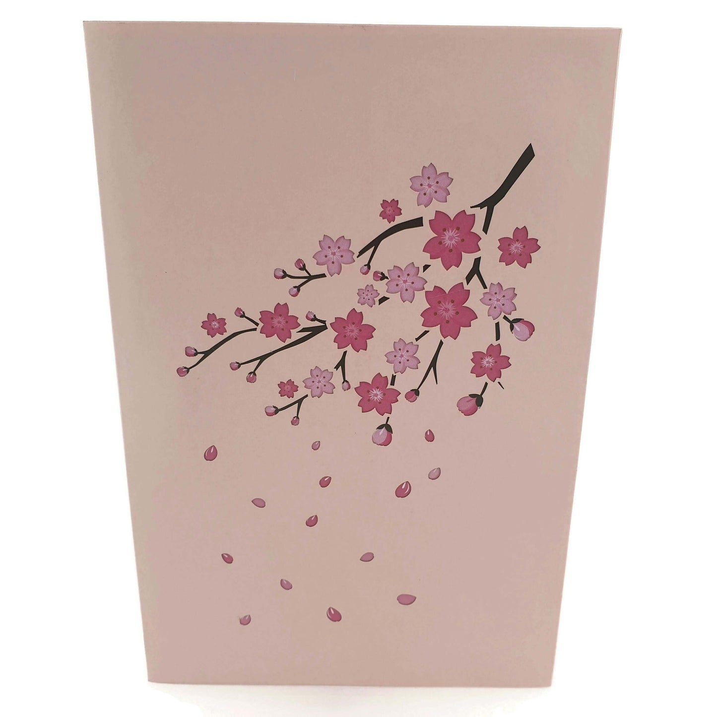 Cherry Blossom Pop Up Card
