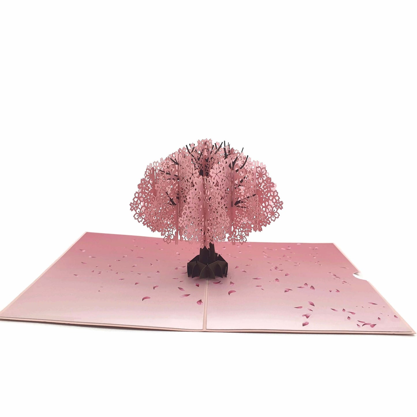 Cherry Blossom Pop Up Card