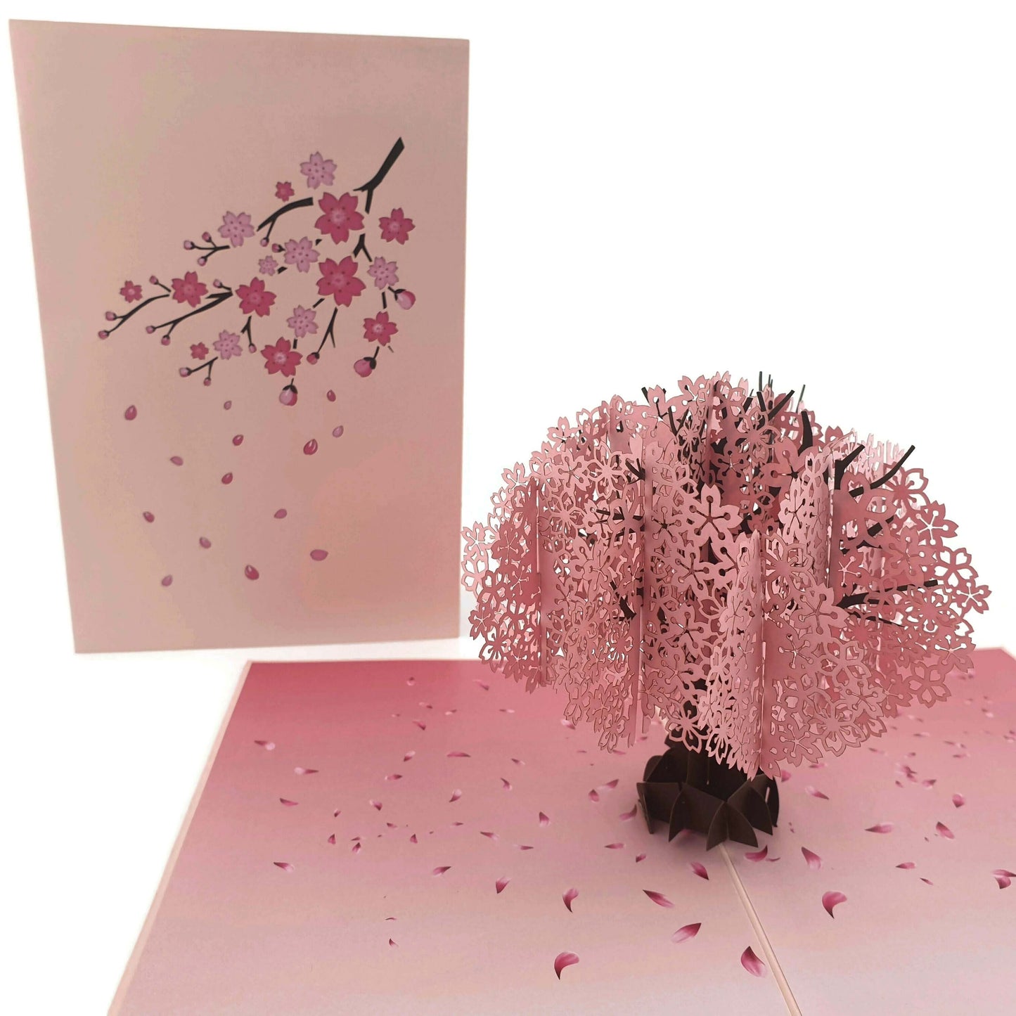 Cherry Blossom Pop Up Card