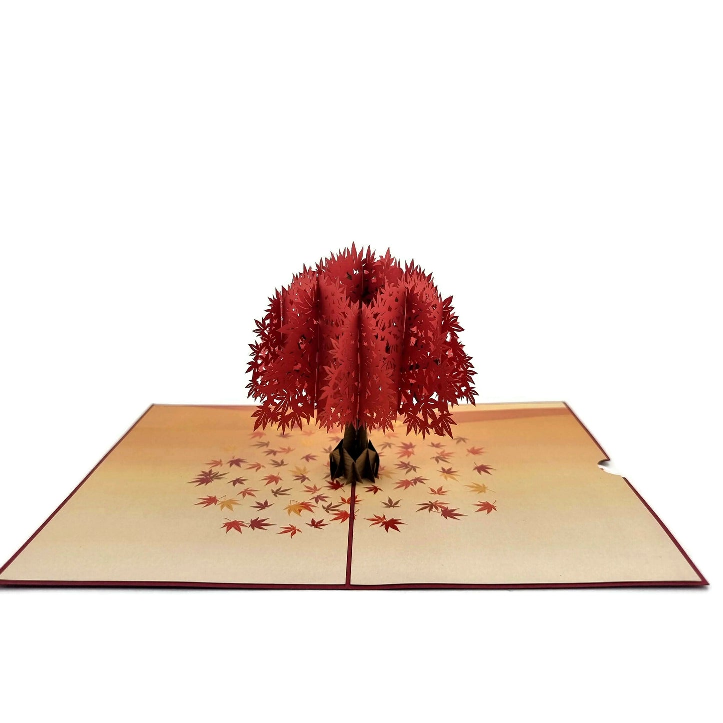 Japanese Maple Pop Up Card