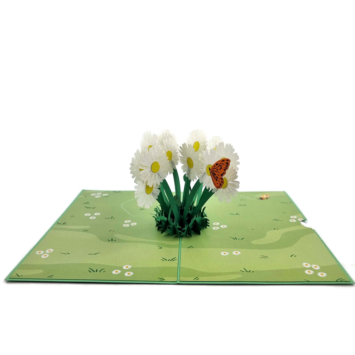 Daisy Patch Pop Up Card