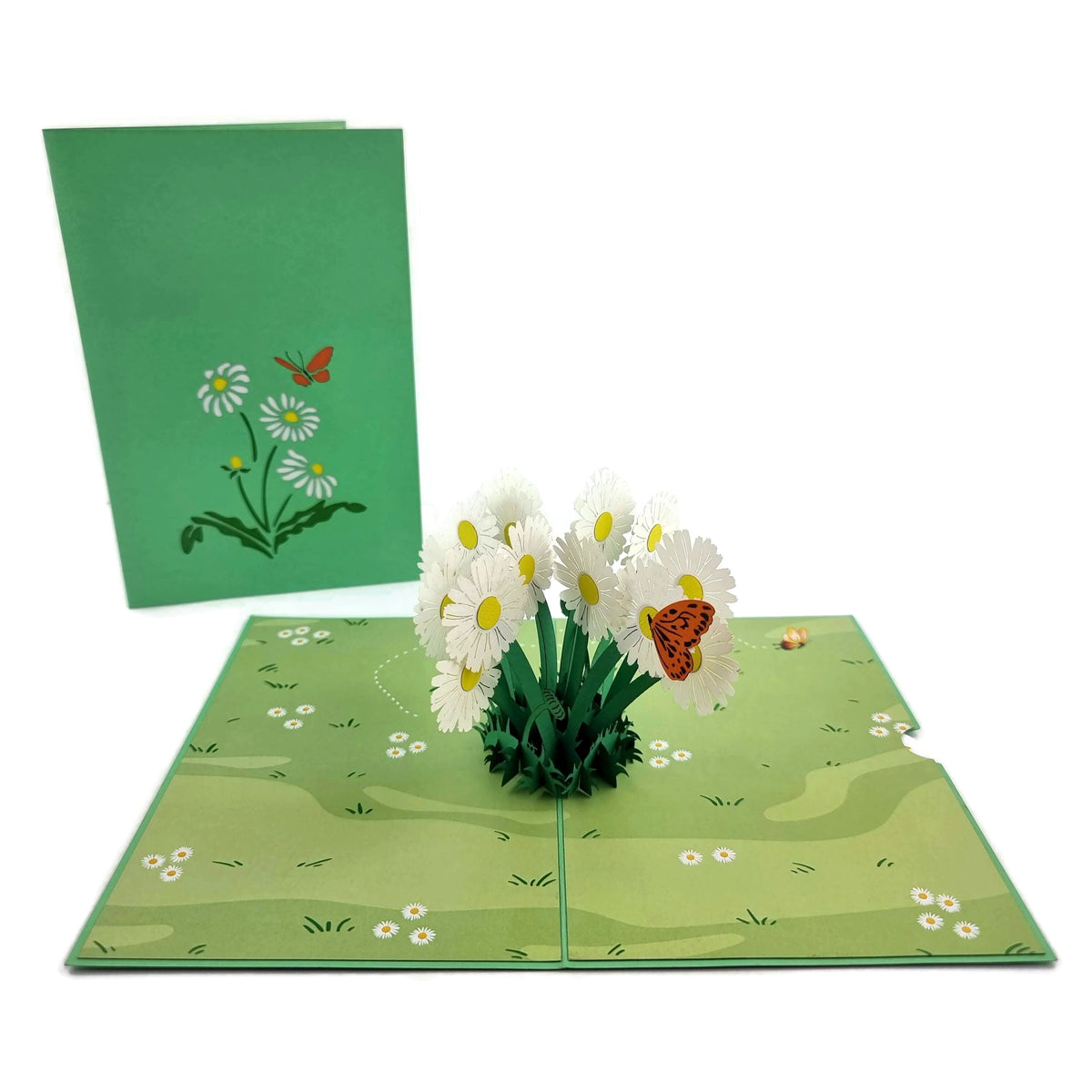Daisy Patch Pop Up Card