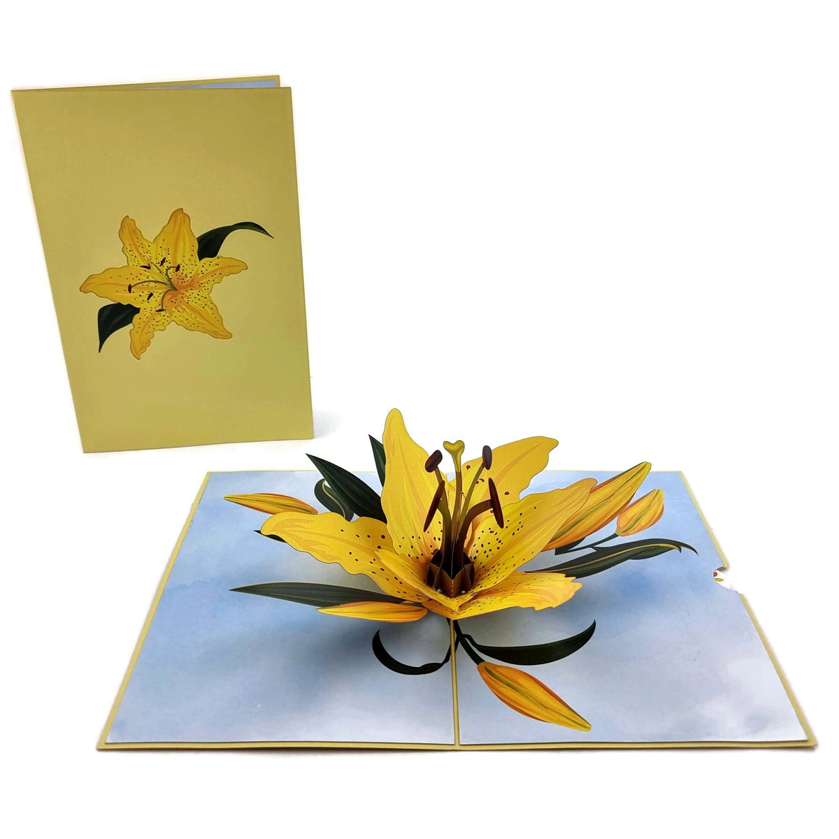 Yellow Lily Pop Up Card