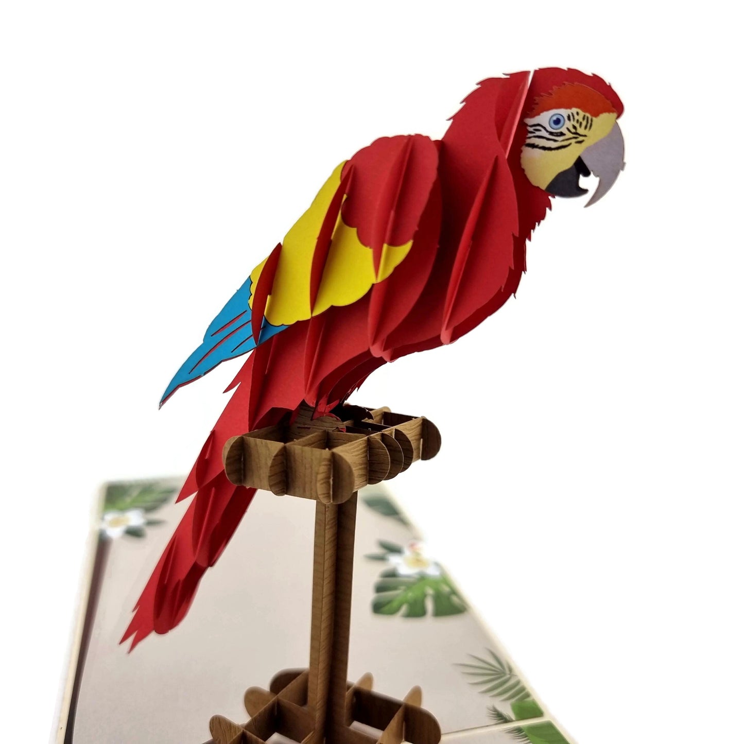 Parrot Pop Up Card