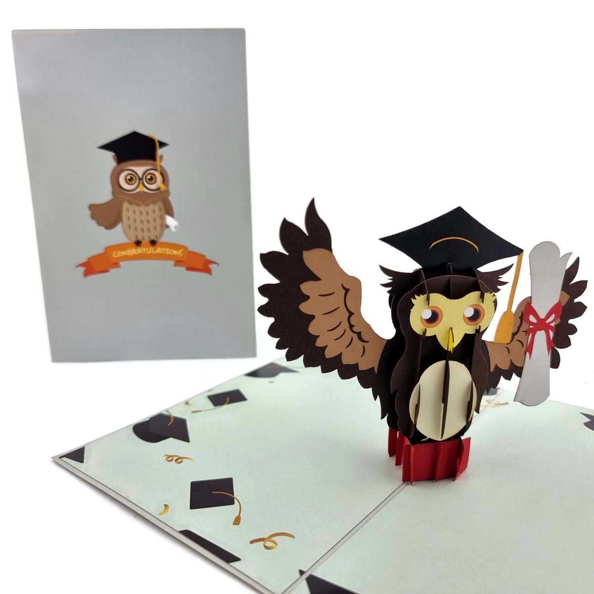 Graduation Owl Pop-Up Card