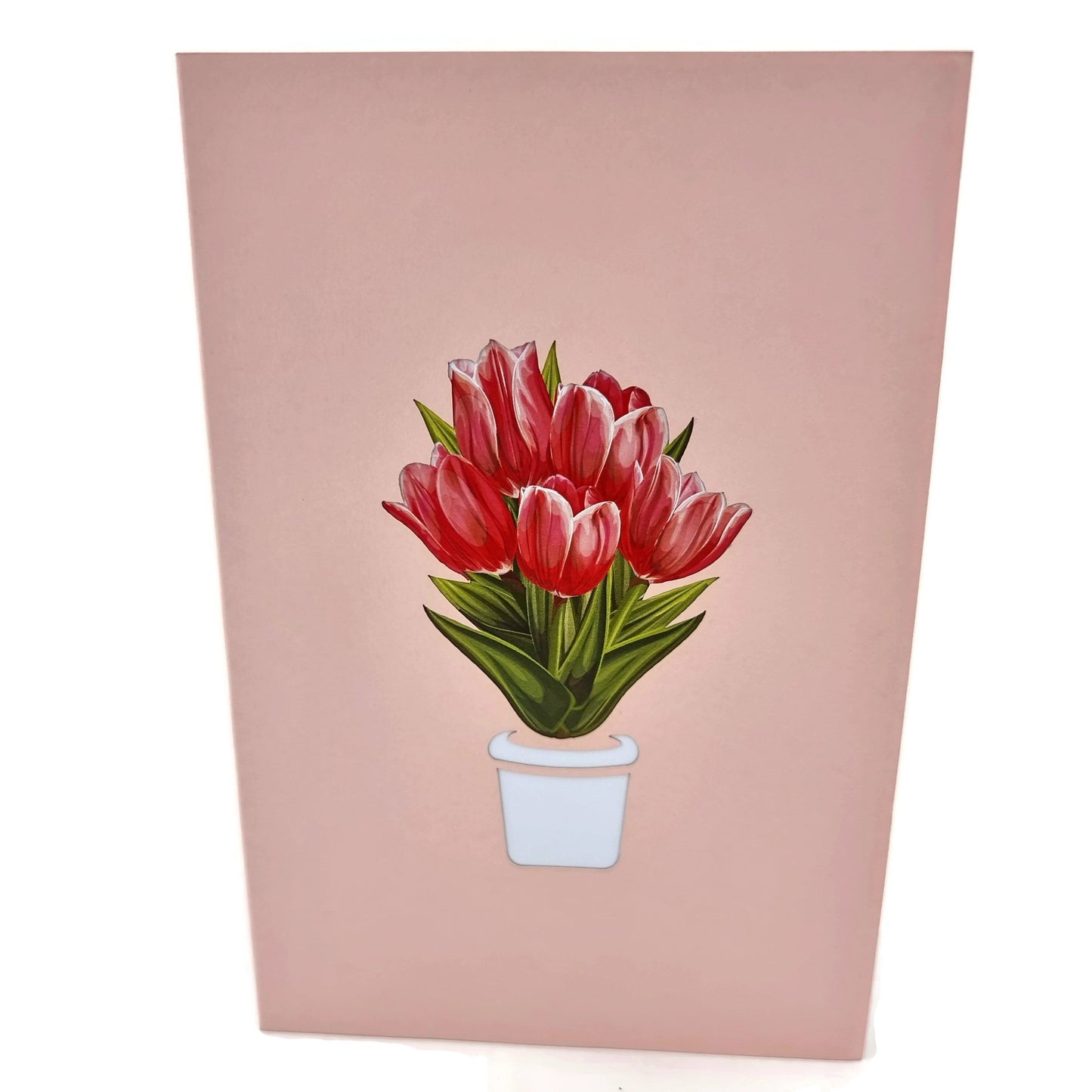 Pink Tulips Pop Up Card