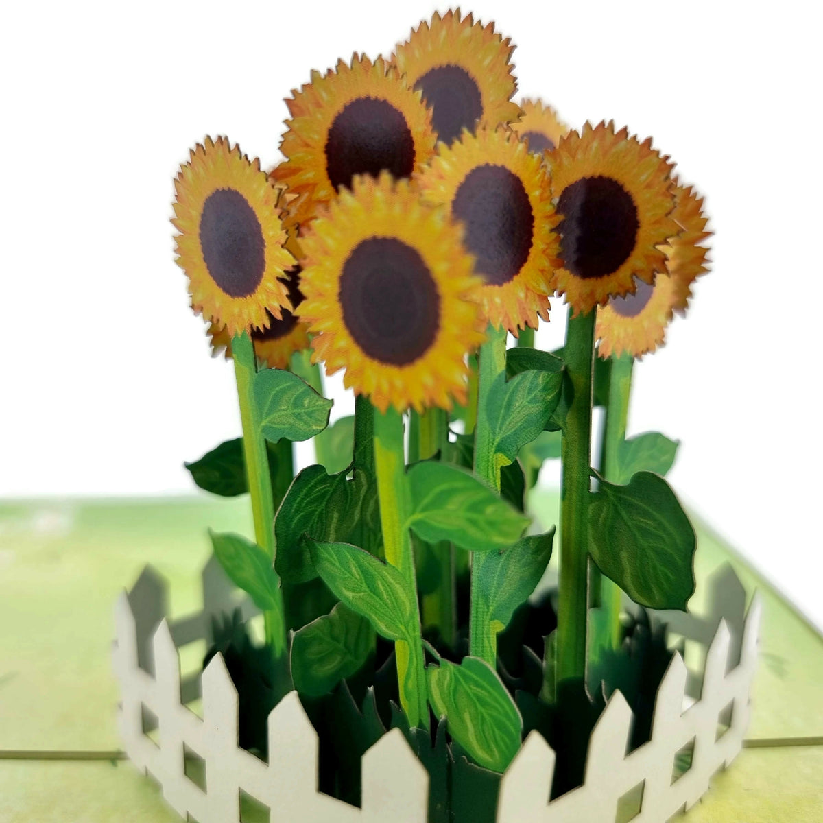 Sunflower Garden Pop Up Card