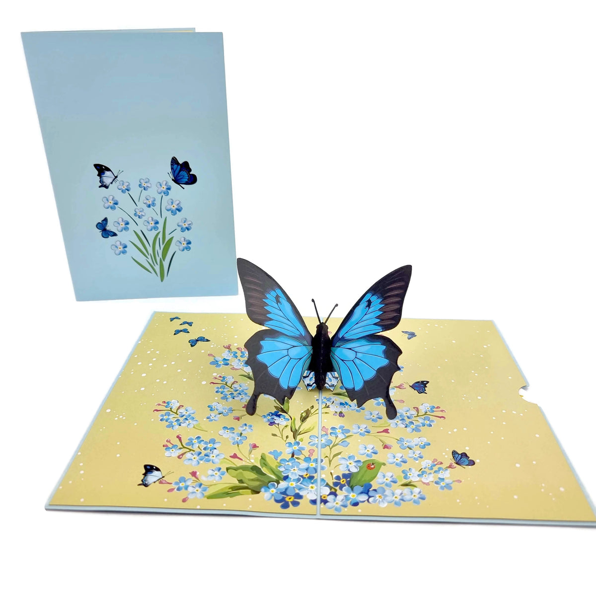 Blue Butterfly Pop Up Card