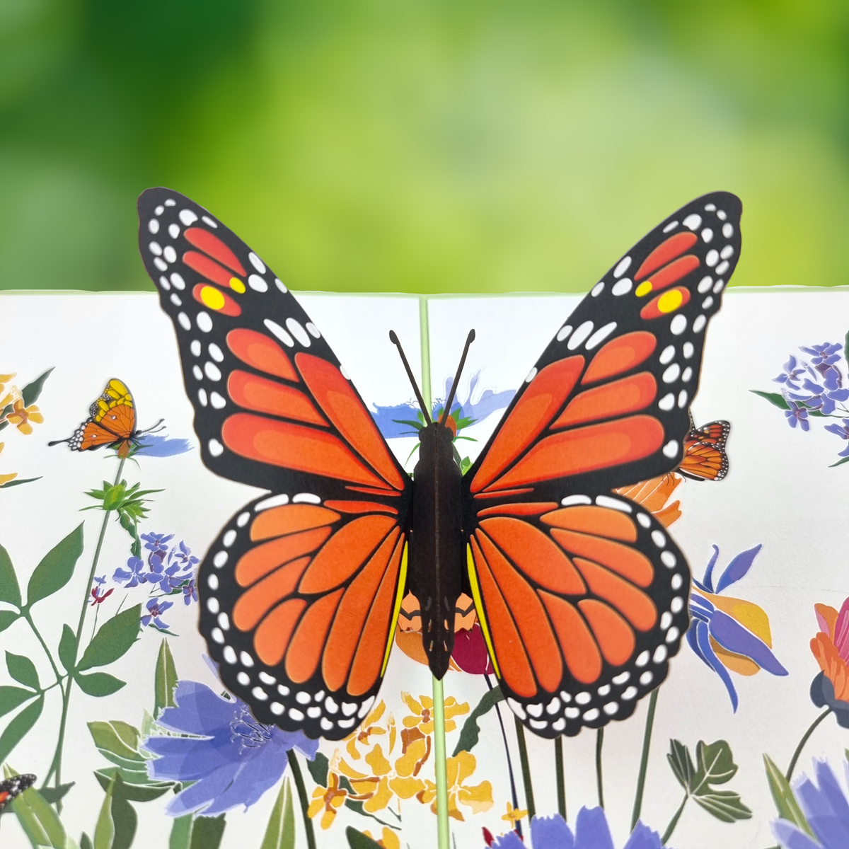 Orange Butterfly Pop Up Card