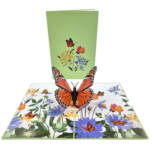 Orange Butterfly Pop Up Card