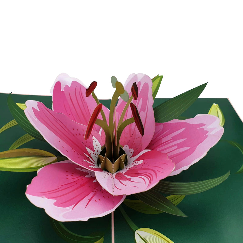 BeautifulPinkLilyFlower3dPopUpCard-Details