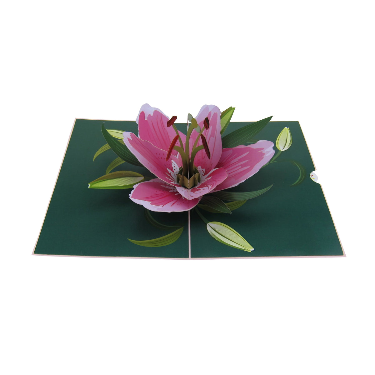 CutePinkLilyFlowerPopUpCard-Details