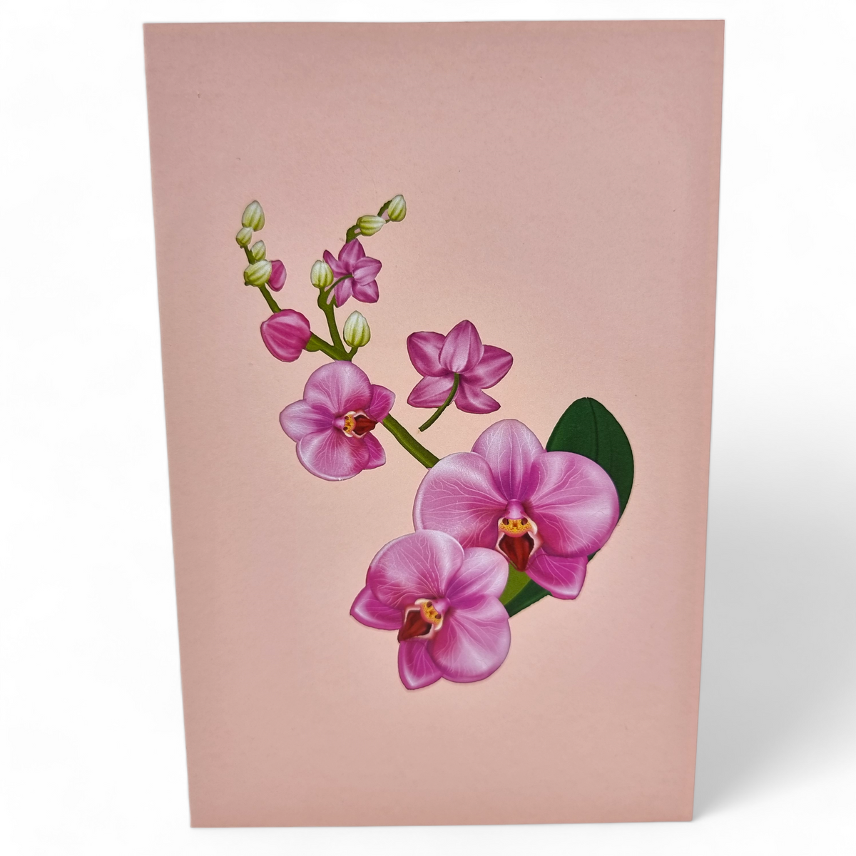 Pink Orchids Pop Up Card
