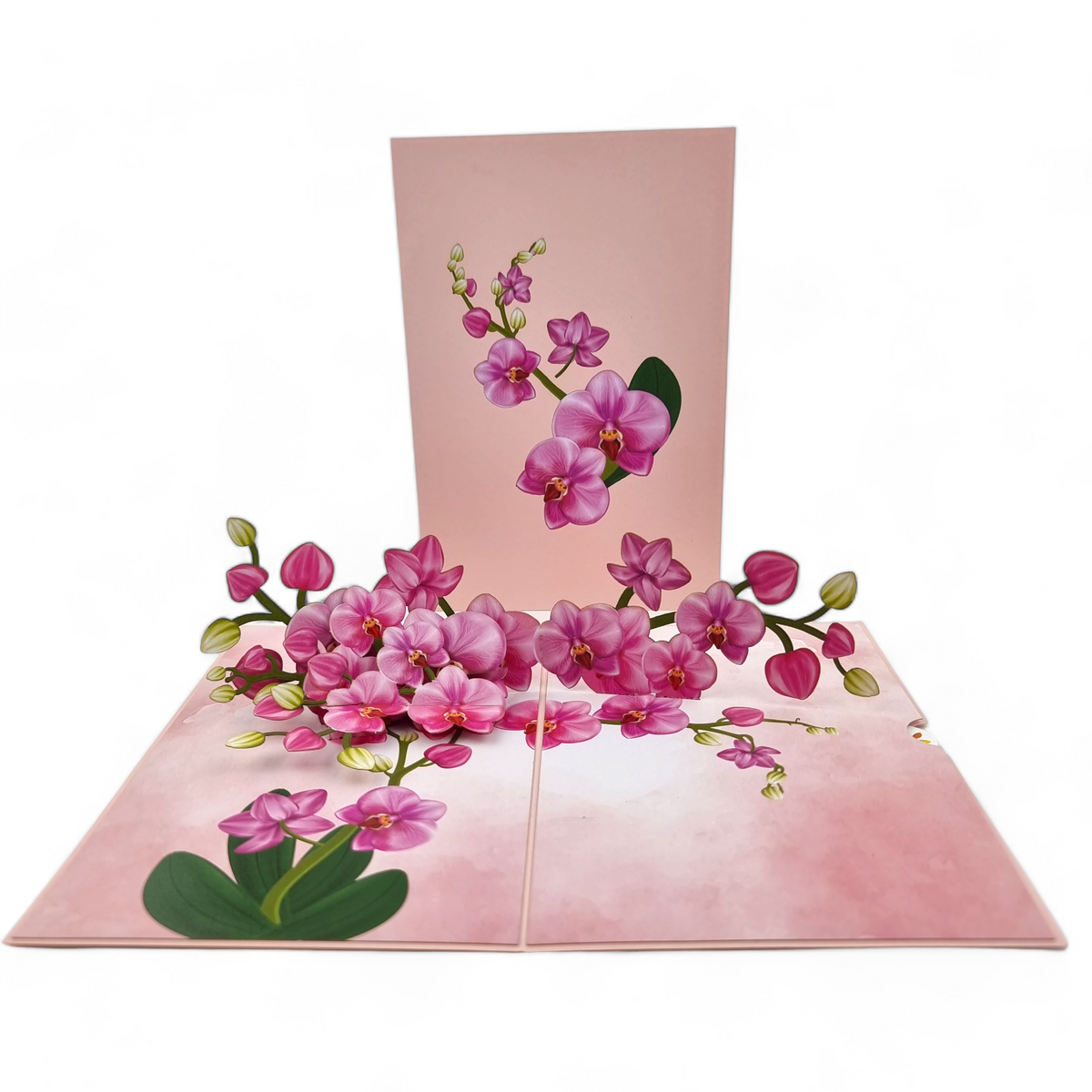 Pink Orchids Pop Up Card