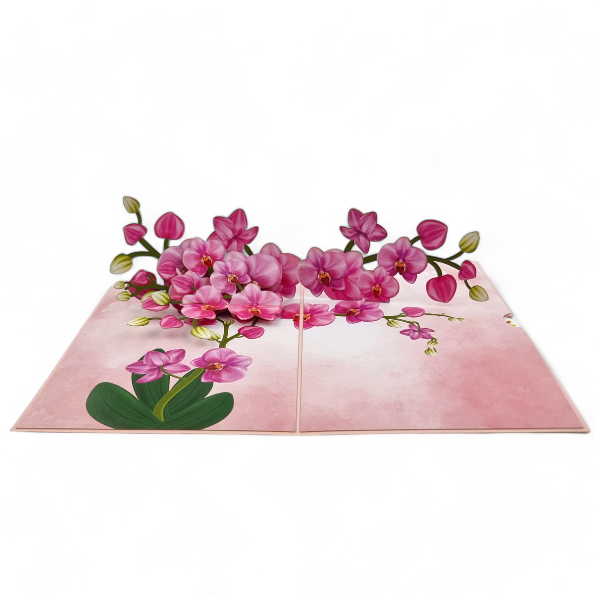 Pink Orchids Pop Up Card