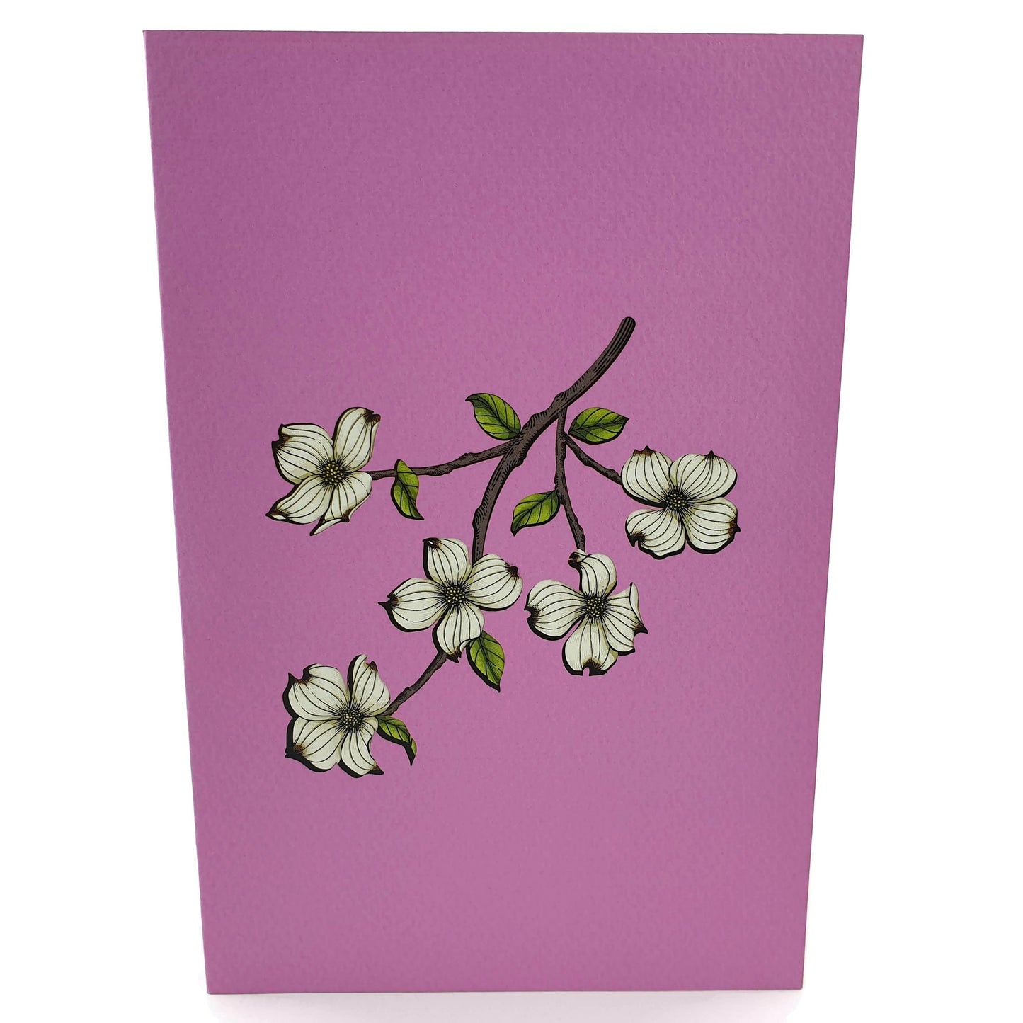 Couple In Love Same Sex Female Pop-Up Card