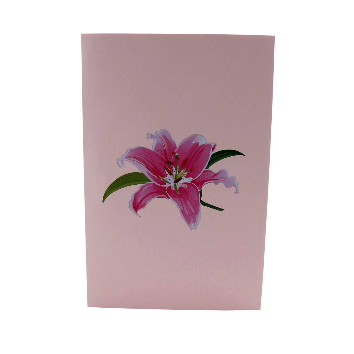 LovelyPinkLilyFlower3dGreetingCard-Cover