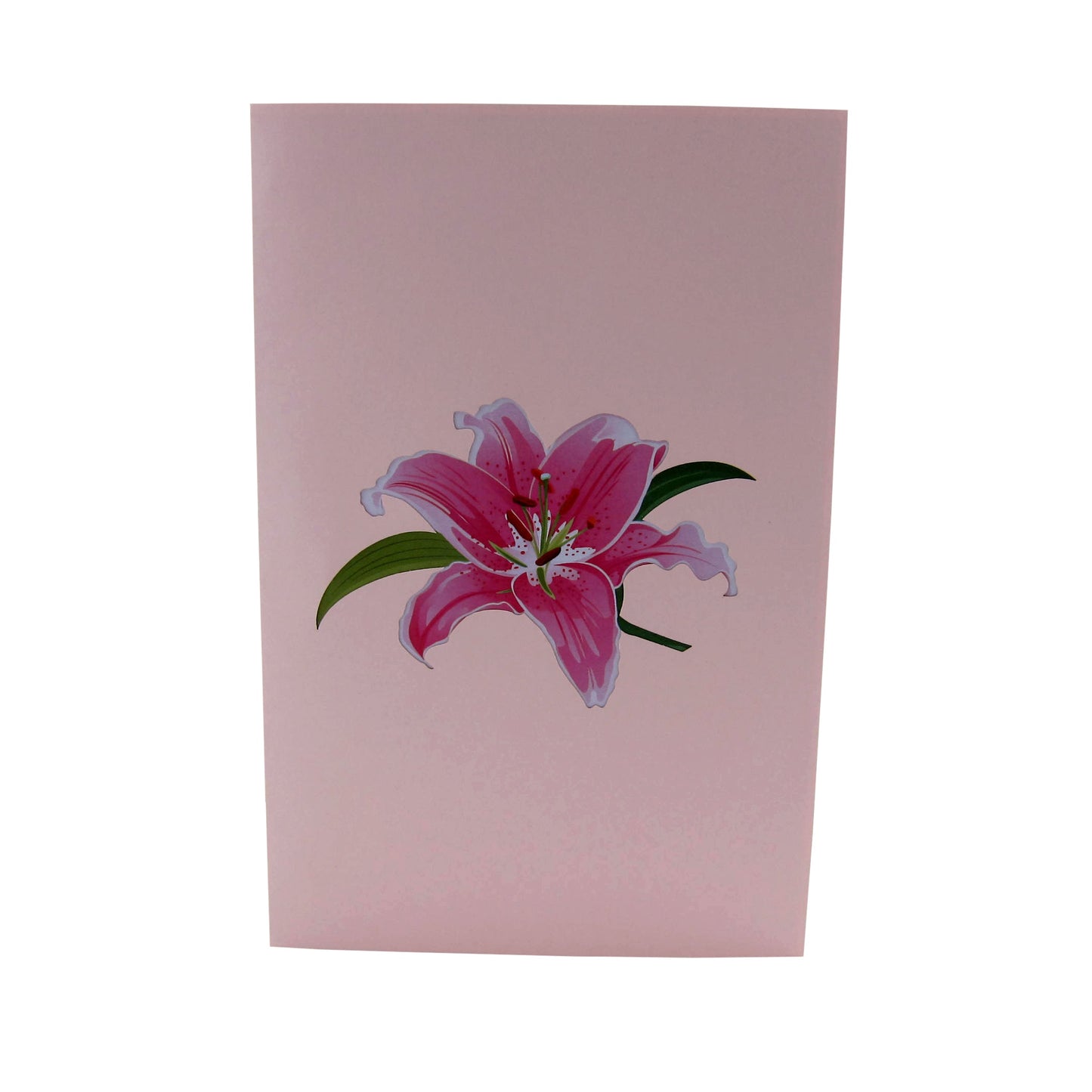 LovelyPinkLilyFlower3dGreetingCard-Cover