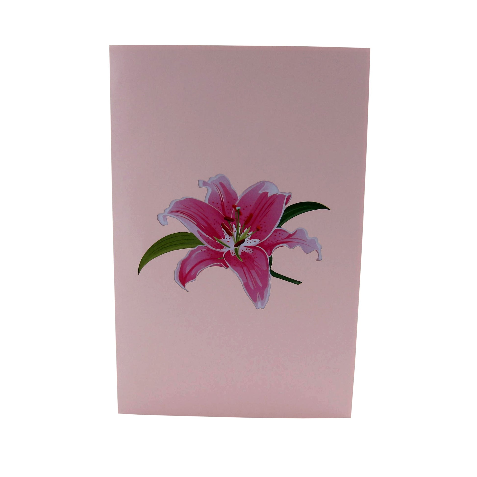 LovelyPinkLilyFlower3dGreetingCard-Cover