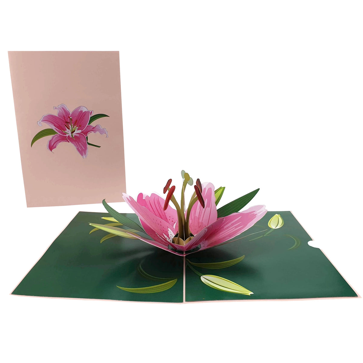 PrettyPinkLilyFlower3dPopUpGreetingCard